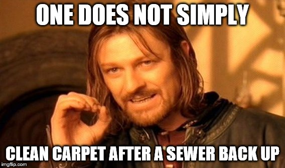 Don't just clean the carpet after a sewage backup.... 🤢

Water from sewer system backups should be considered very dangerous. The water is grossly unsanitary and may contain bacteria and viruses that could cause serious illness. Special training and equipment is necessary.