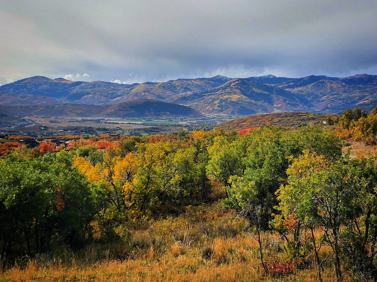 And all the lives we ever lived and all the lives to be are full of trees and changing leaves... 🍁 Virginia Woolf

📷 by me

#autumnvibes #fallphotography #naturephotography #Utah 🧡