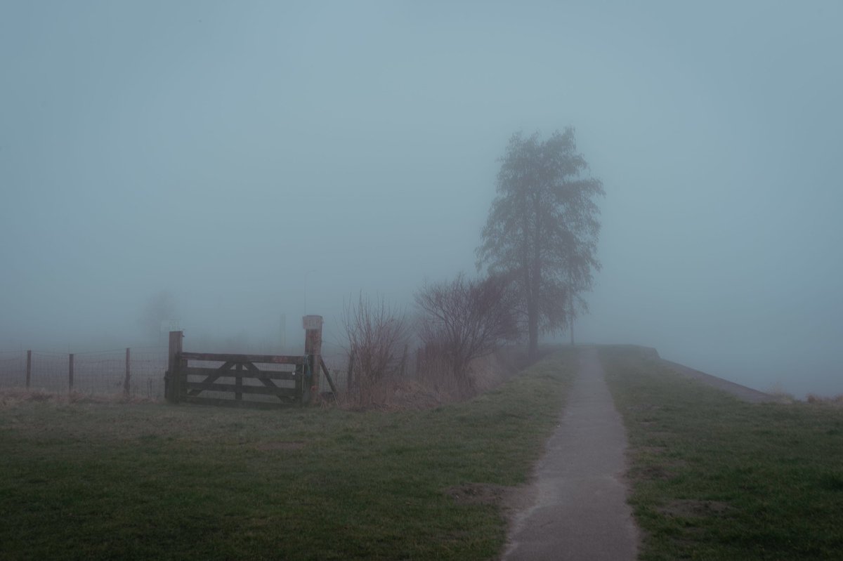 melopacare's tweet photo. It's fog season. https://t.co/B1DAP1peoC