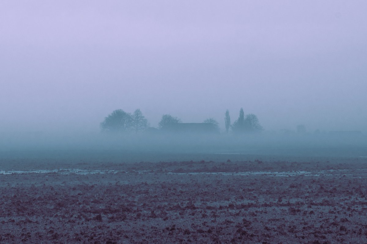 melopacare's tweet photo. It's fog season. https://t.co/B1DAP1peoC