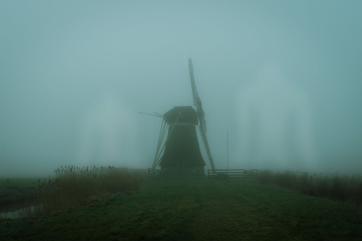 melopacare's tweet photo. It's fog season. https://t.co/B1DAP1peoC