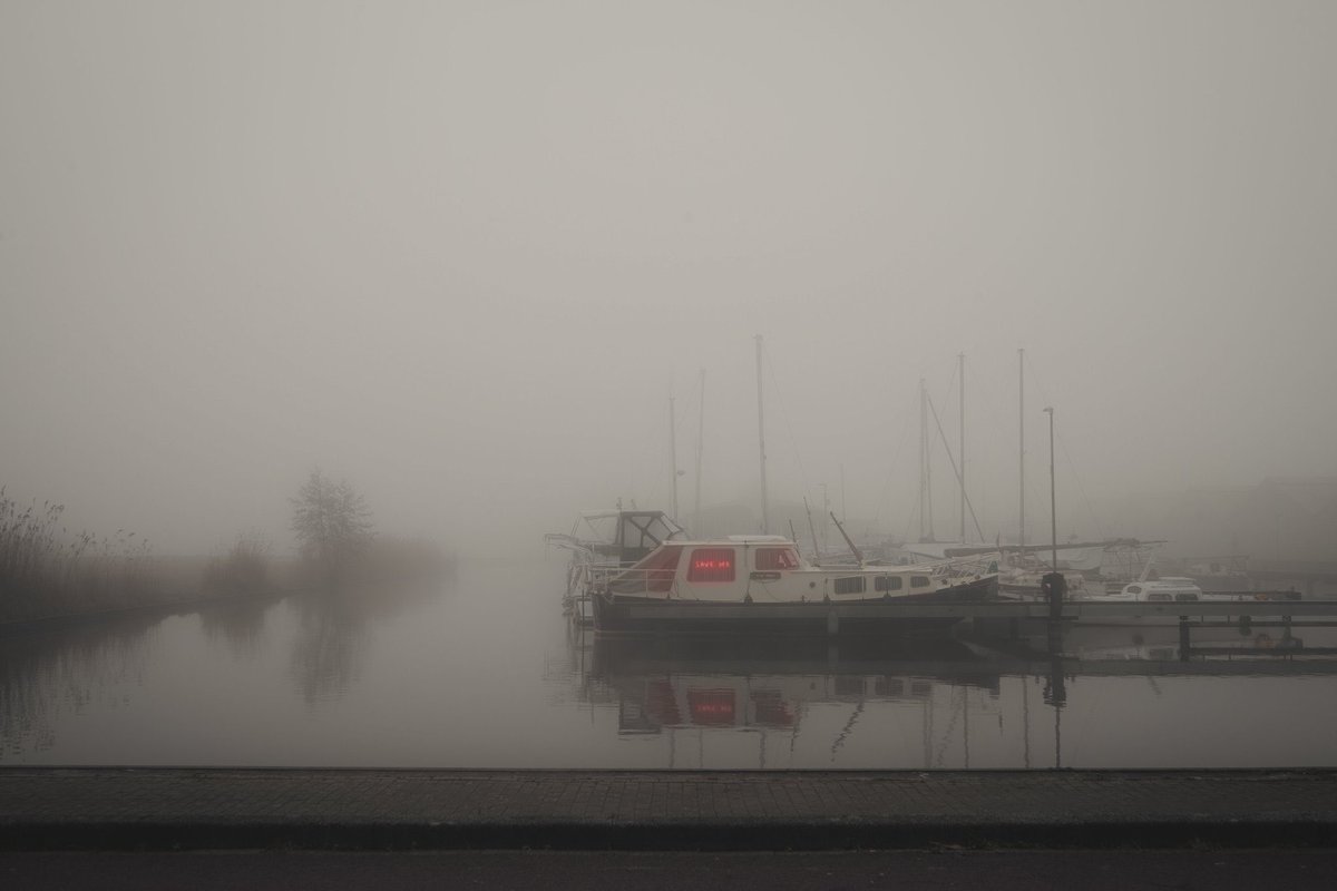 melopacare's tweet photo. It's fog season. https://t.co/B1DAP1peoC