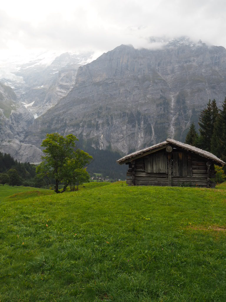 itsme_mandrela's tweet photo. Nach dem Arbeiten ist vor dem Wandern• #homeoffice #grindelwald https://t.co/p2fZTApldg