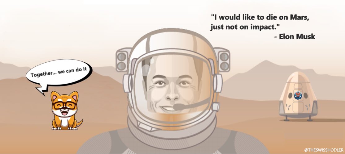coachmike1980's tweet photo. @elonmusk @mortenlund89 #DaddyDogeToMars https://t.co/P2F8ebBYdc