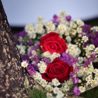 Duansi1's tweet photo. #NewProfilePic https://t.co/3M9Ki4ckcB