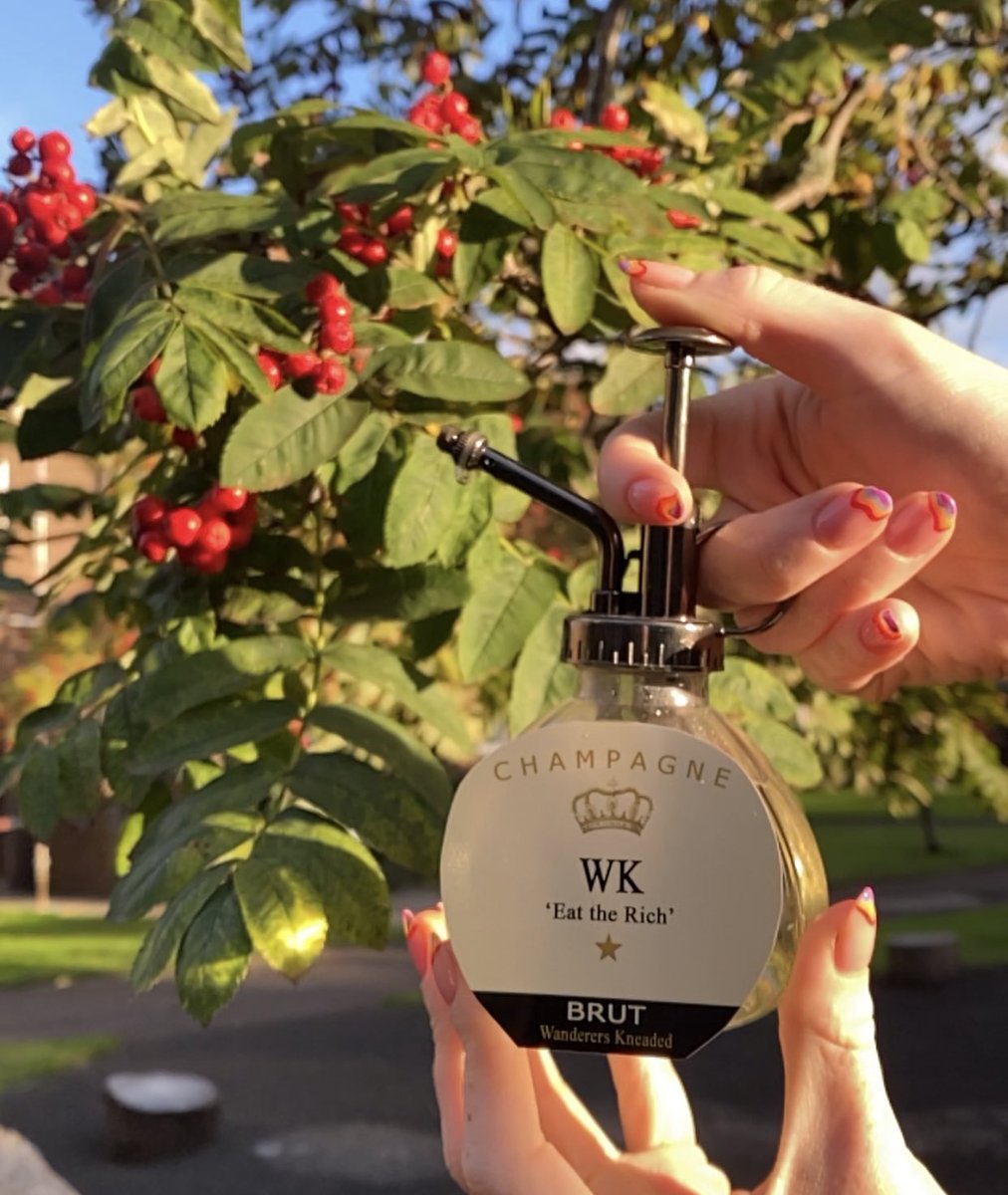 sourdough showered with a cascade of fresh Stacciatella, topped with wild boar Salame and finished with Black Truffle shaving - the whole thing served with a sprinkle of Champagne right before serving.
the name? ‘Eat the Rich’🐷🍾