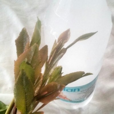 #صورة_جديدة_للملف_الشخصي