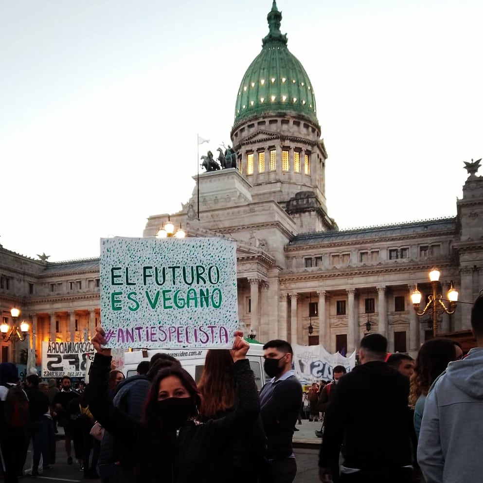 El futuro será vegano y antiespecista.  Sino no habrá futuro posible. 

#veganismo #veganismoesjusticia #antiespecista #elfuturoesvegano