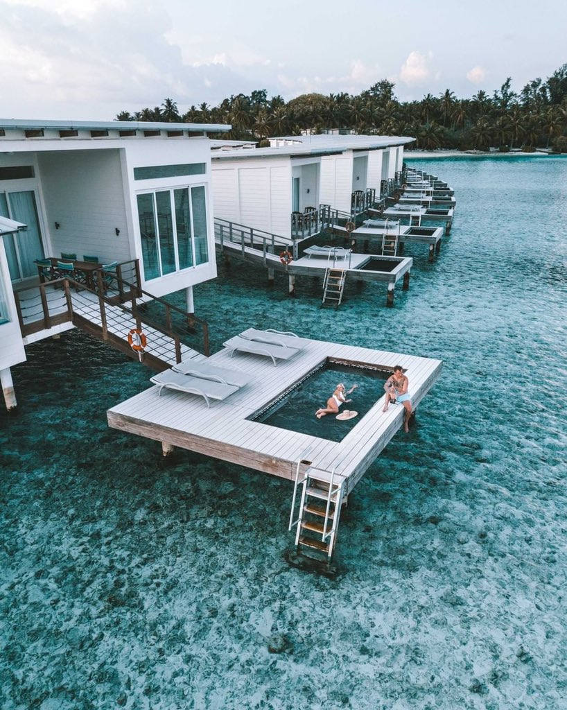 capitaltravel's tweet photo. Contact us to book your honeymoon with us and find out about our exclusive discount packages to the honeymoon travelers.
#HereAtKandooma #ExperienceIHG #maldivesresorts #maldiveslovers #vacationgoals #PremiumAllinclusive #luxury #maldives #hotel #honeymoonhotel #honeymoondeals https://t.co/Zg6ZZ2e1G8