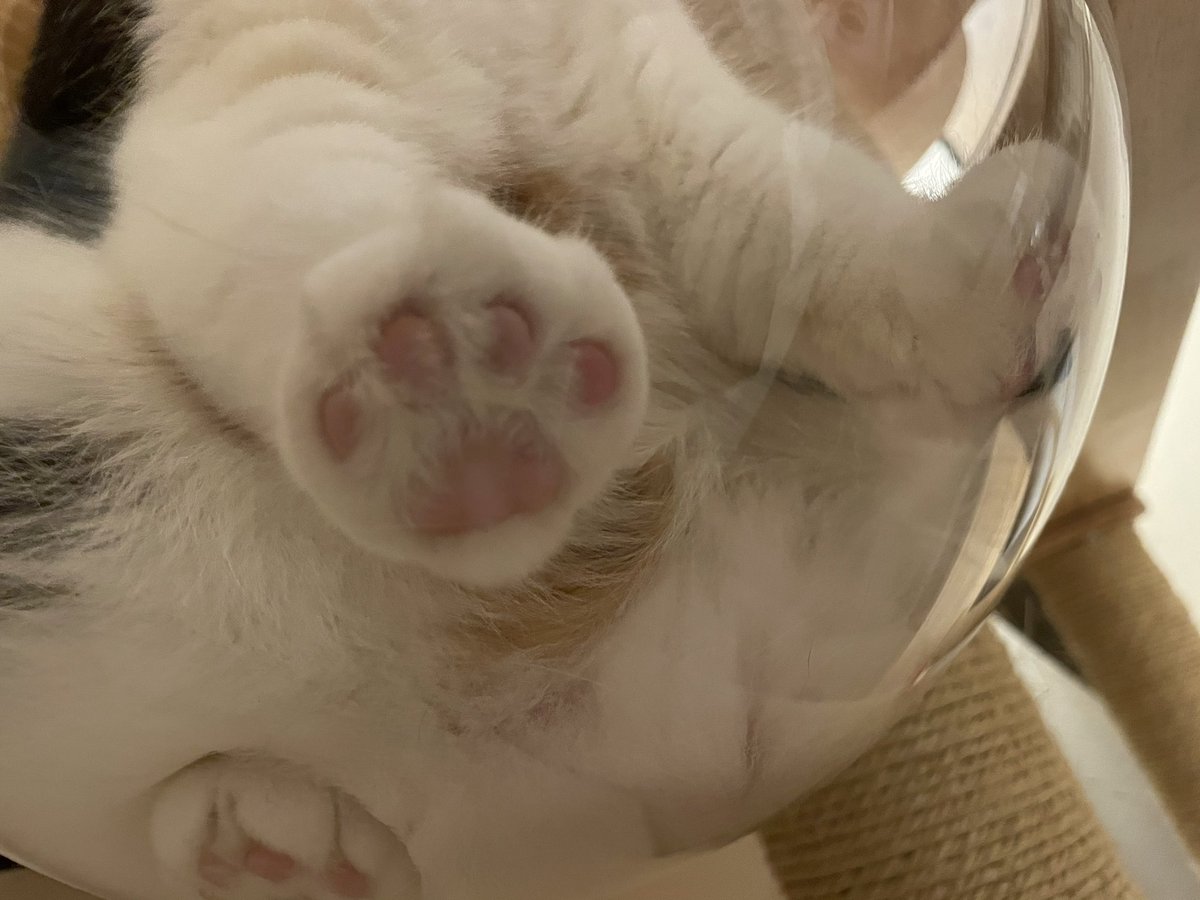 ให้เดาสีหน้า