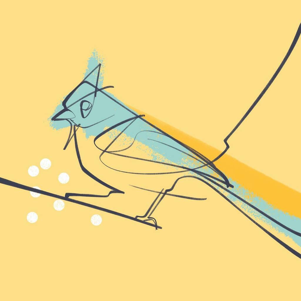 Birds season.
.
#bird #yellowbird #lineart #digitalart #digitallineart #digitalillustration #birdart #birdartwork #birdillustration #birdillustrations #birdseason #birdy #artofinstagram #procreateart #digitalartwork #birdartists instagr.am/p/CUabqALMh22/