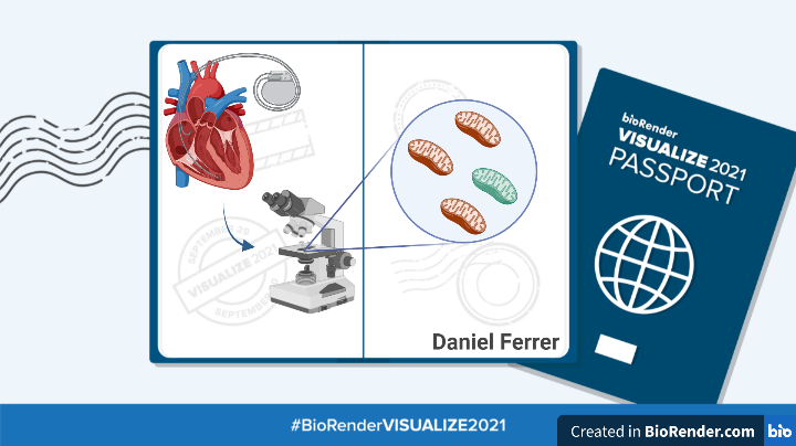 DanielFerrerVin's tweet photo. Learning great visualization tips! #BioRenderVISUALIZE2021 https://t.co/ZeIGNjJru2