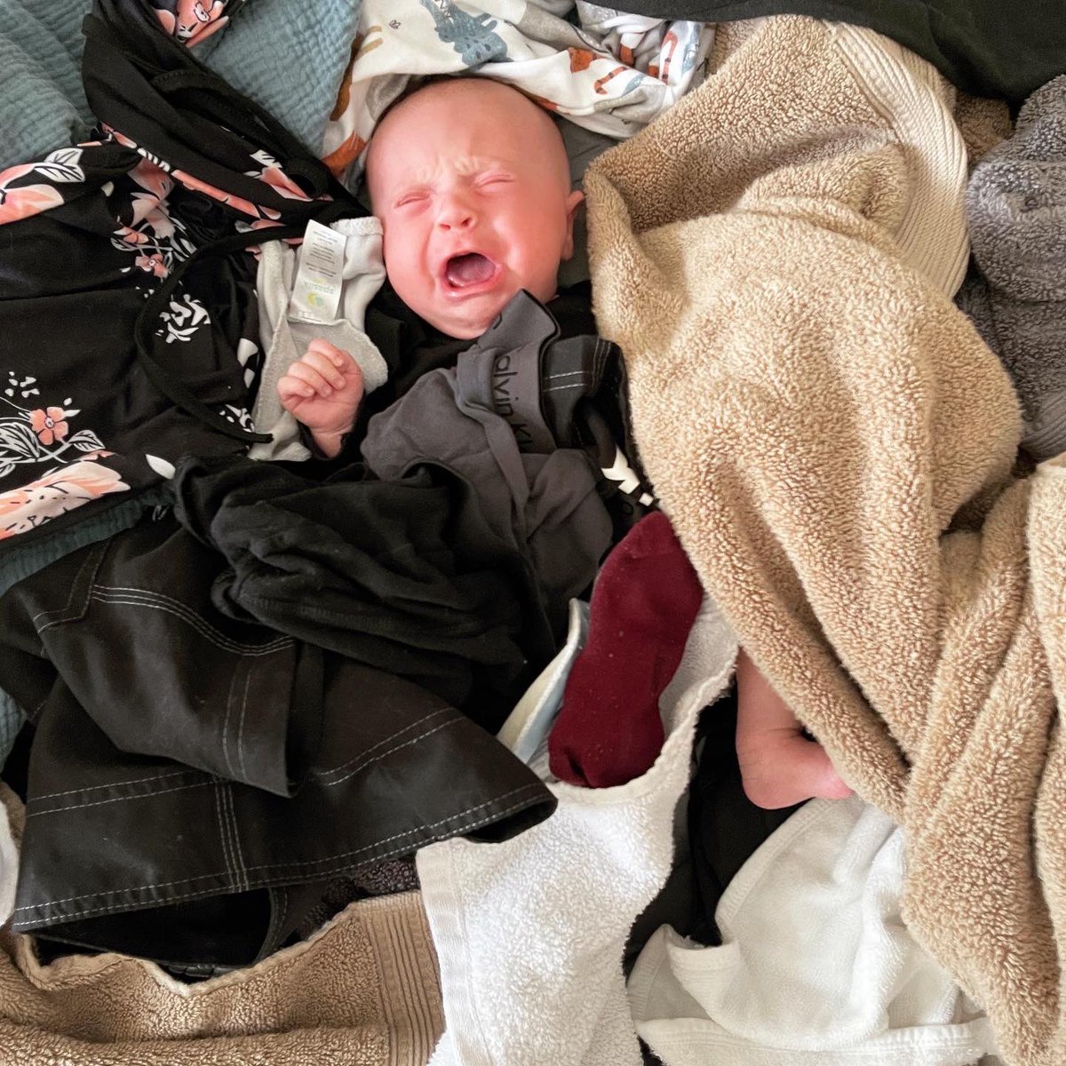 I distinctly remember mom asking dad to fold the laundry - she didn’t mention anything about a photoshoot. I wasn’t in the mood and stated my case firmly 

@jaclynglenn <a href="/dmfdmfmusic/">David Michael Frank</a>