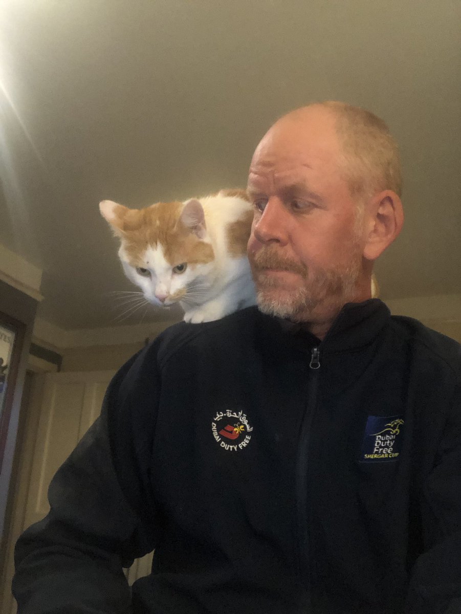 MichaelJohnCh11's tweet photo. Worthy of social discourse. #catthing https://t.co/nOJIKOg7ZV