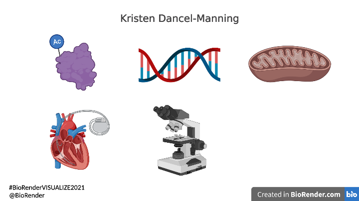 KDM_BioArt's tweet photo. Very interesting talks at the #BioRenderVISUALIZE2021 event this morning! Collected some icons in between speakers even though my passport image isn't showing up 😏 https://t.co/lnrEgB6f6V