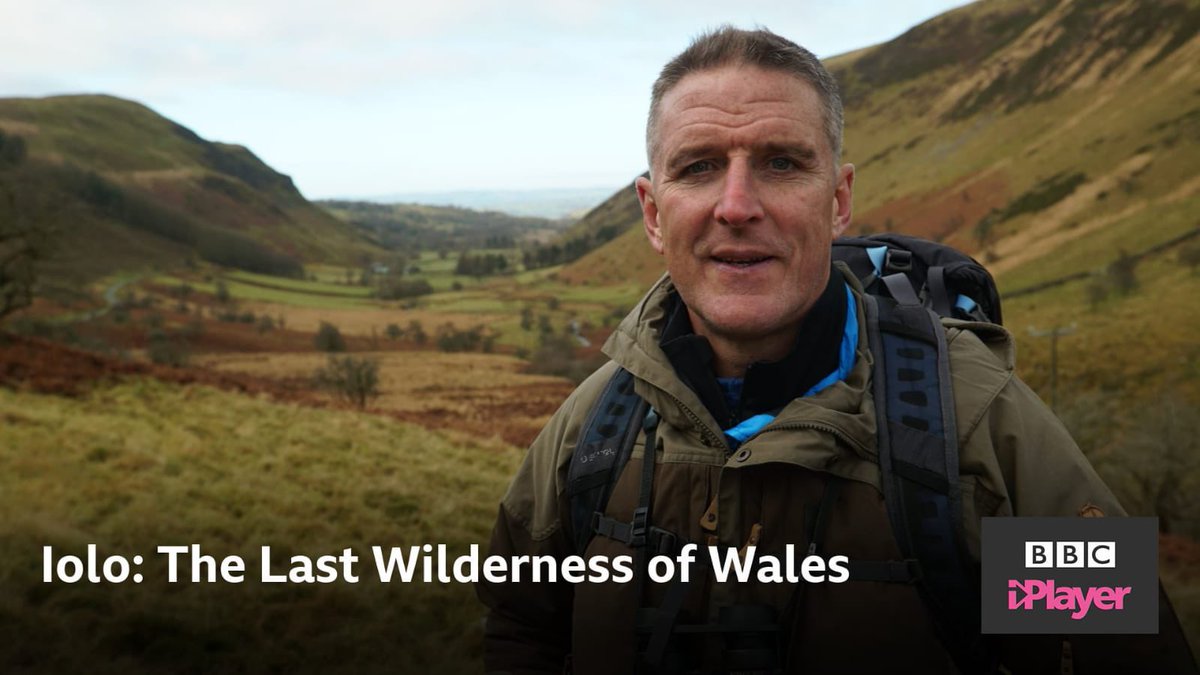Not sure how they worked out the scheduling but the next episode is on tonight at 7.30 on BBC2, and it’s got goshawks, Welsh clearwing moths and other things I can’t remember!!