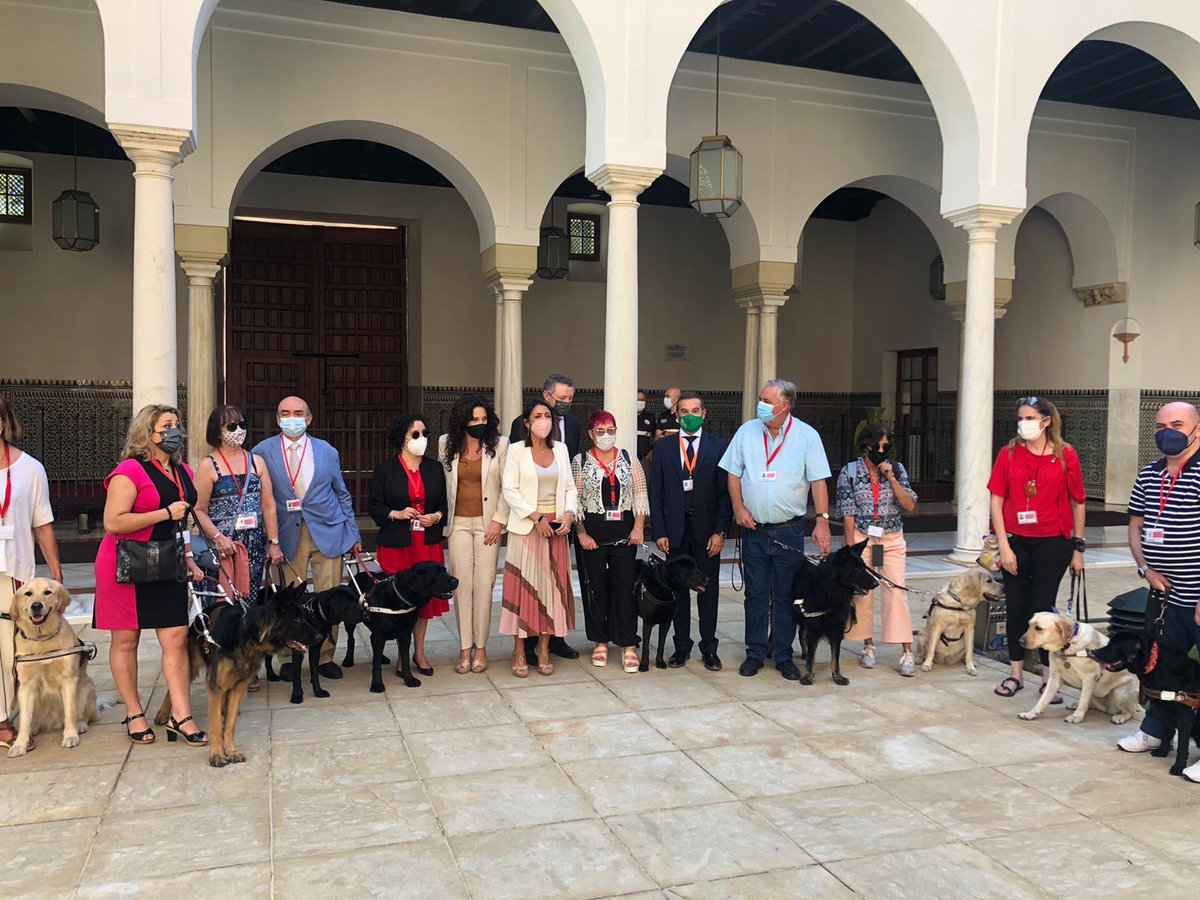 Hoy la Ley de Perros de Asistencia supera el debate a la totalidad y seguirá su tramitación en el <a href="/ParlamentoAnd/">Parlamento Andalucía</a> 

Queremos que las personas con discapacidad cuenten con una nueva norma andaluza que contribuya al fomento de su autonomía y mejore la accesibilidad