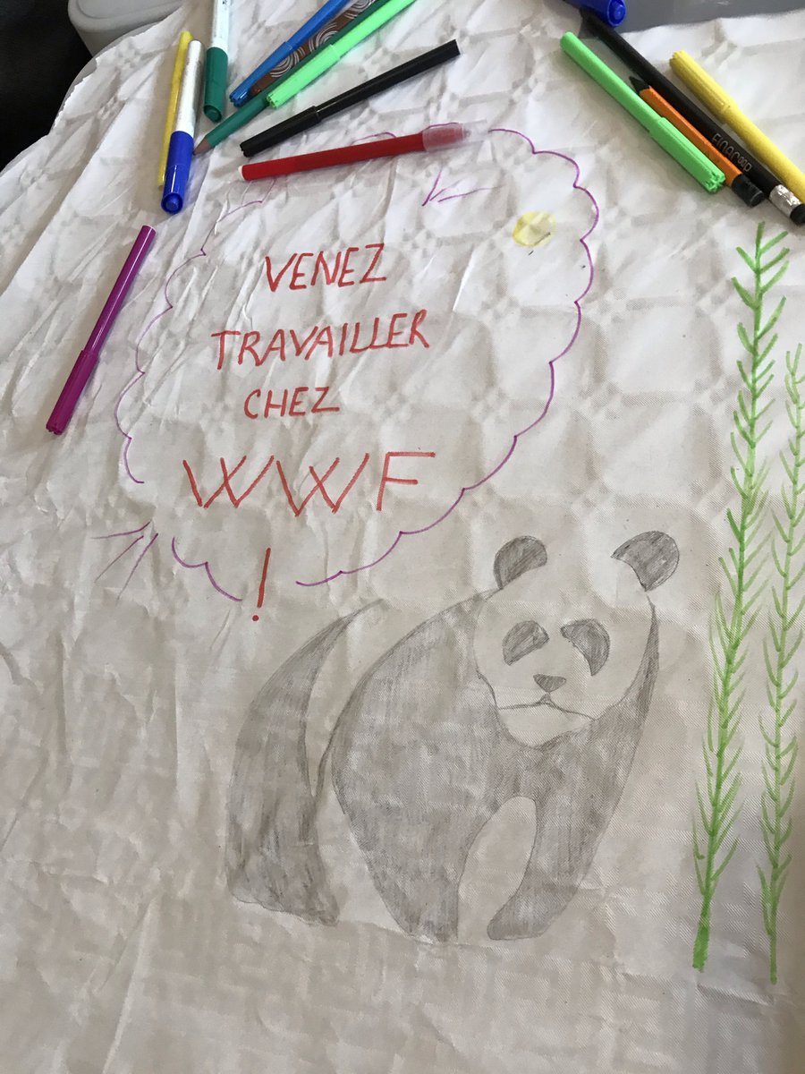 Bruno PIREYN tweet media