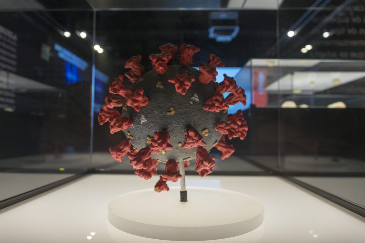PrismaRU's tweet photo. Universum reabre sus puertas con la nueva exposición: "Italia: el arte de la ciencia".
Nuestra reportera @DulceGarcia007 nos tiene todos los detalles sobre el tema.
#AlAire
#CampusRU
@UniversumMuseo https://t.co/9fMDb6IpL5