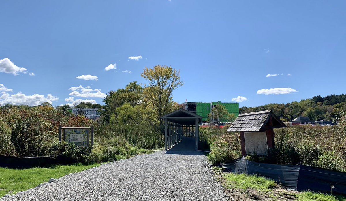 Dawn Bentley, Ed.D. tweet media