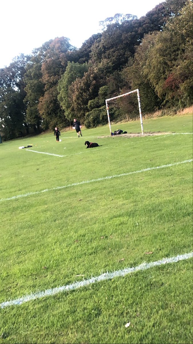 shellmcmillanx's tweet photo. @macca1875 @keeperscatch coaching kids and dogs ๐ถ #goalkeeping #keeperscatch https://t.co/8Wf0648BzD