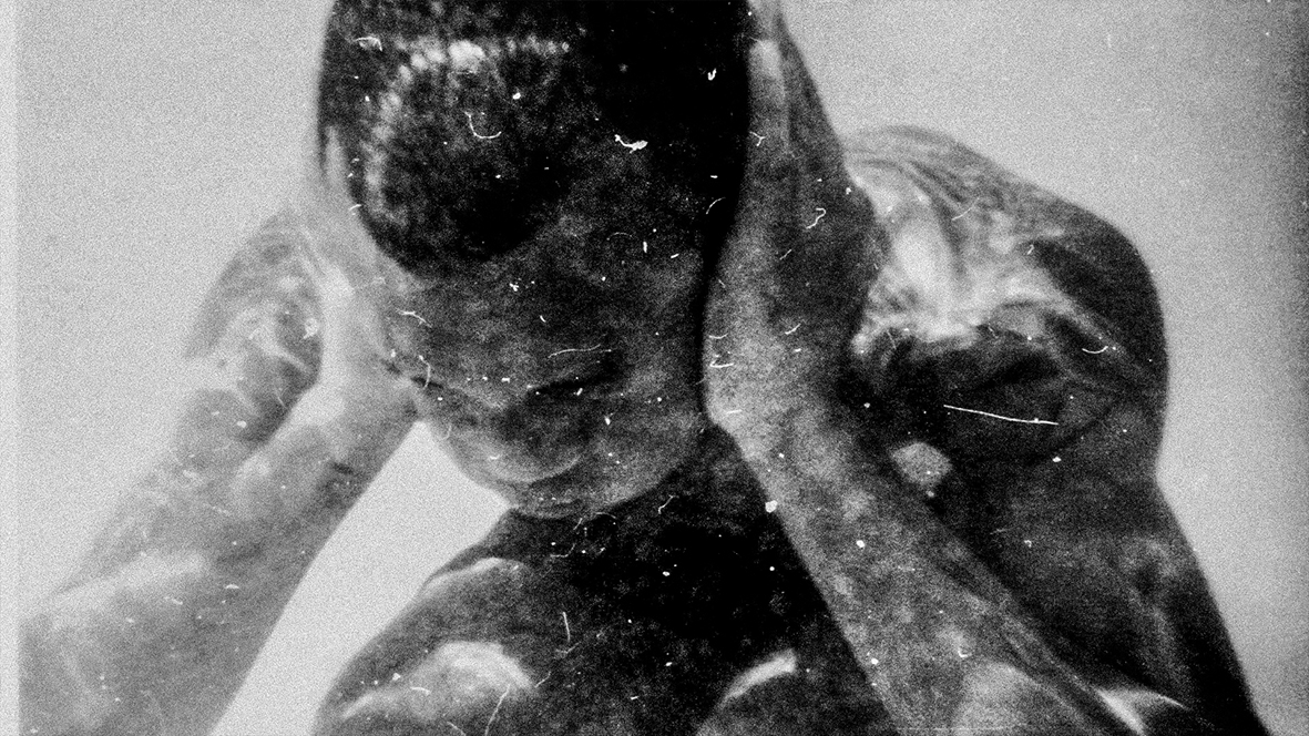 Dit weekend voor het eerst te zien in het Langhuis: PLANKTON van Herbert Alfonso! Reserveer nu een gratis toegangsbewijs voor de opening met Herbert Alfonso via:
eventbrite.nl/e/tickets-open…