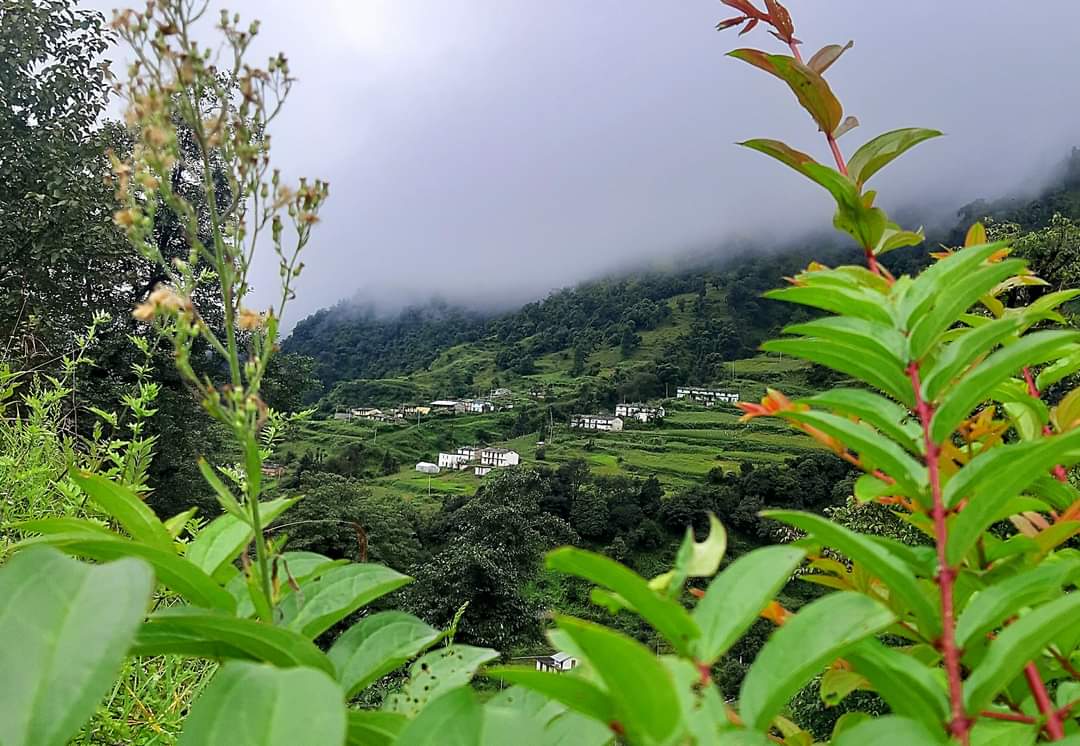 Apna_Utarakhand's tweet photo. मध्य हिमालय में बसा हिमालय के रैबासियों का एक बेहद खूबसूरत गांव। हिमालय में बसे इन गांवों को भी सुविधा सम्पन्न बनाना होगा क्योंकि हिमालय को सबसे ज्यादा और करीब से यही लोग जानते हैं। हिमालय में हो रहे हर बदलावों और गतिविधियों के बारे में इन्हें सटीक जानकारी होती है। https://t.co/Yo657uFD3x