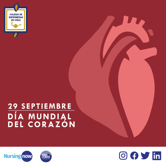 colegioenfermer's tweet photo. En el #DíaMundialDelCorazón:

✅  Evita el tabaco. 
✅  Sigue una alimentación equilibrada, baja en sal y azúcares y libre de grasas saturadas. 
✅  Mantén tu peso normal. 
✅  Practica ejercicio al menos durante 30 minutos al día. 
✅  Reduce tus niveles de estrés y ansiedad. https://t.co/hzrJo8ISbu