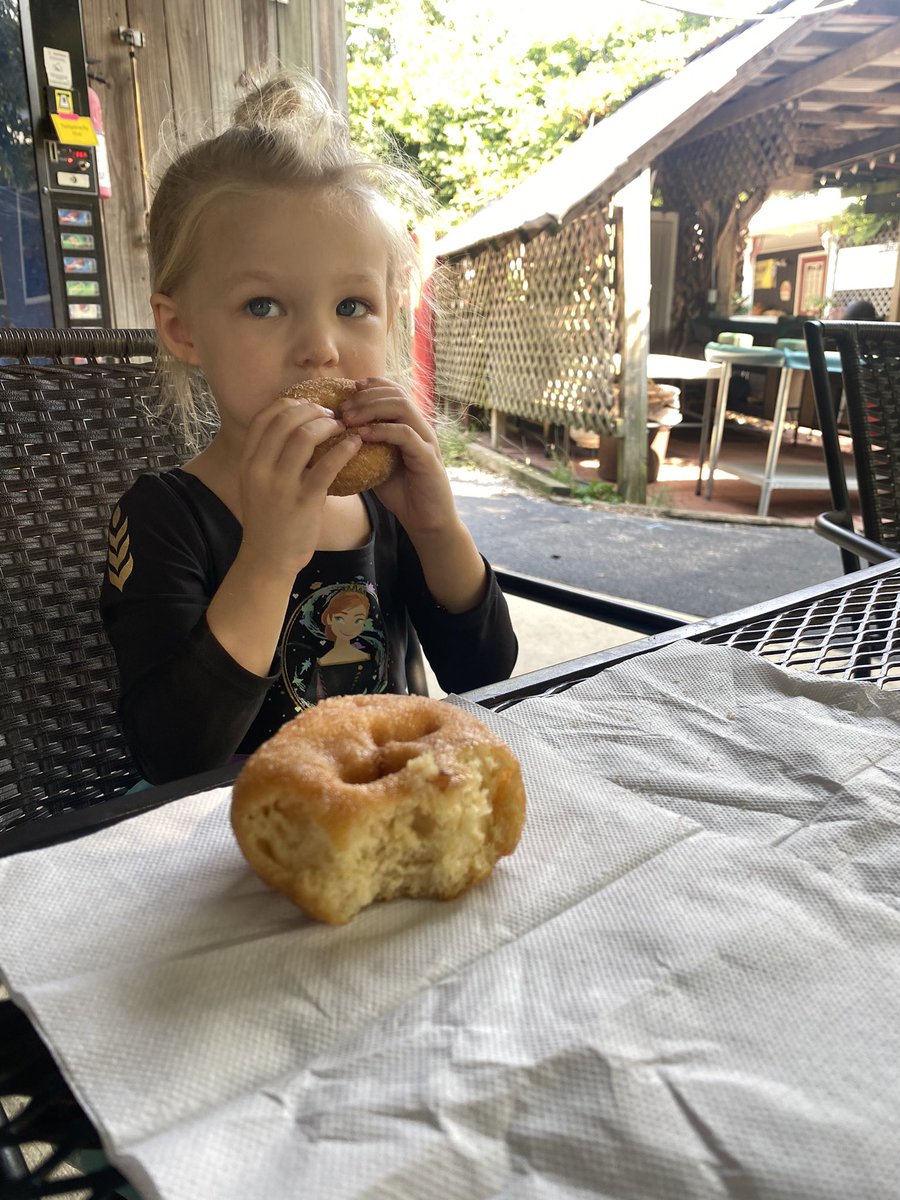 Curtis Orchard tweet media