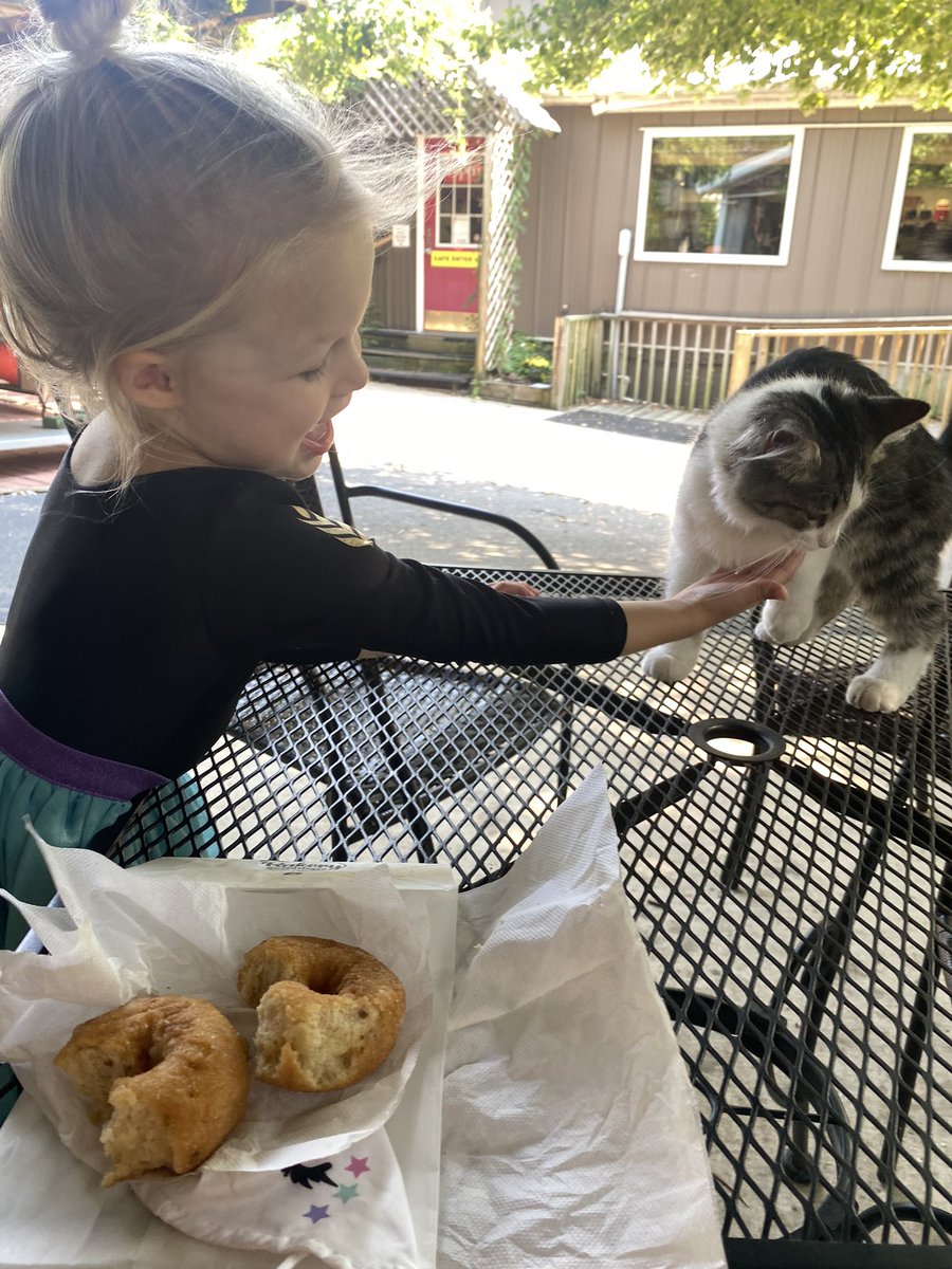 Curtis Orchard tweet media