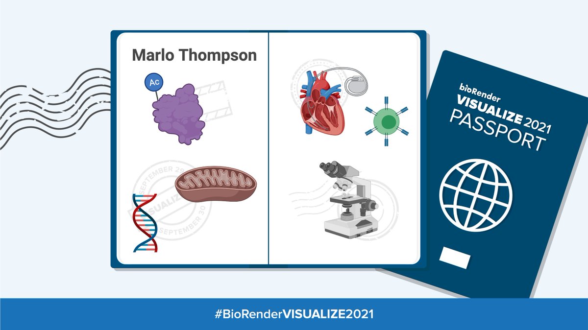 mkMellon's tweet photo. @BioRender  #BioRenderVISUALIZE2021 https://t.co/BOXcHe4yp0