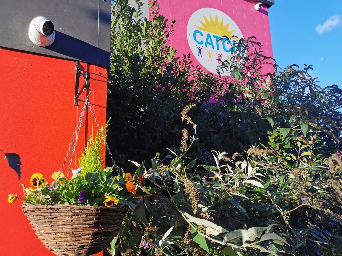 A great sunny afternoon out at
<a href="/CATCHLeeds/">CATCH Leeds</a> with Dr Ian Shaw to count plants &amp; pollinators in their fab community garden 🦋🐝🌻