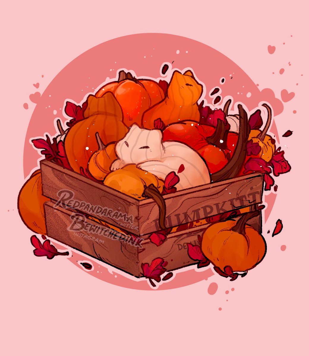 BewitchedInk's tweet photo. 🐾🎃 It’s Pumpkitten Season 🎃🐾 https://t.co/FoWfnw4ciB