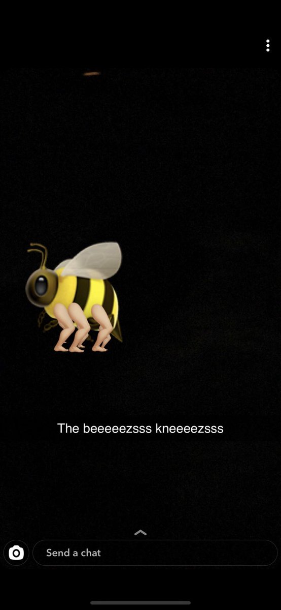 Cameryn22222's tweet photo. The beez kneez @VictoriaISD #vehs #bob21 https://t.co/Re8LM1tkjj
