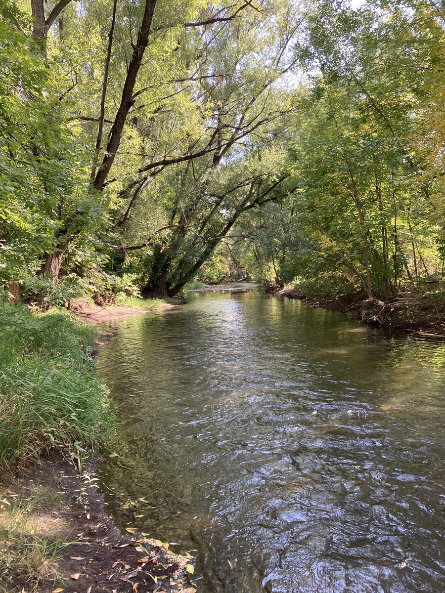 Some light field work on this glorious fall day