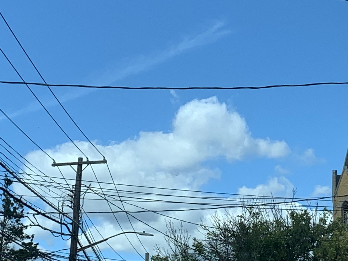 DarkQueenJ's tweet photo. Cat cloud #catcloud https://t.co/LHxCMVjAT6