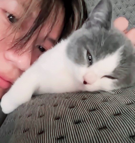 NiNi_9955's tweet image. ❤️ TAEMIN ❤️ 

TAEMARI &amp;amp; GGUNG 

Precious Idea 
Our Ggung is a celebrity 
We love you both 
We miss you both 

#TAEMIN 
#SHINee 
#TAMERI #GGUNG