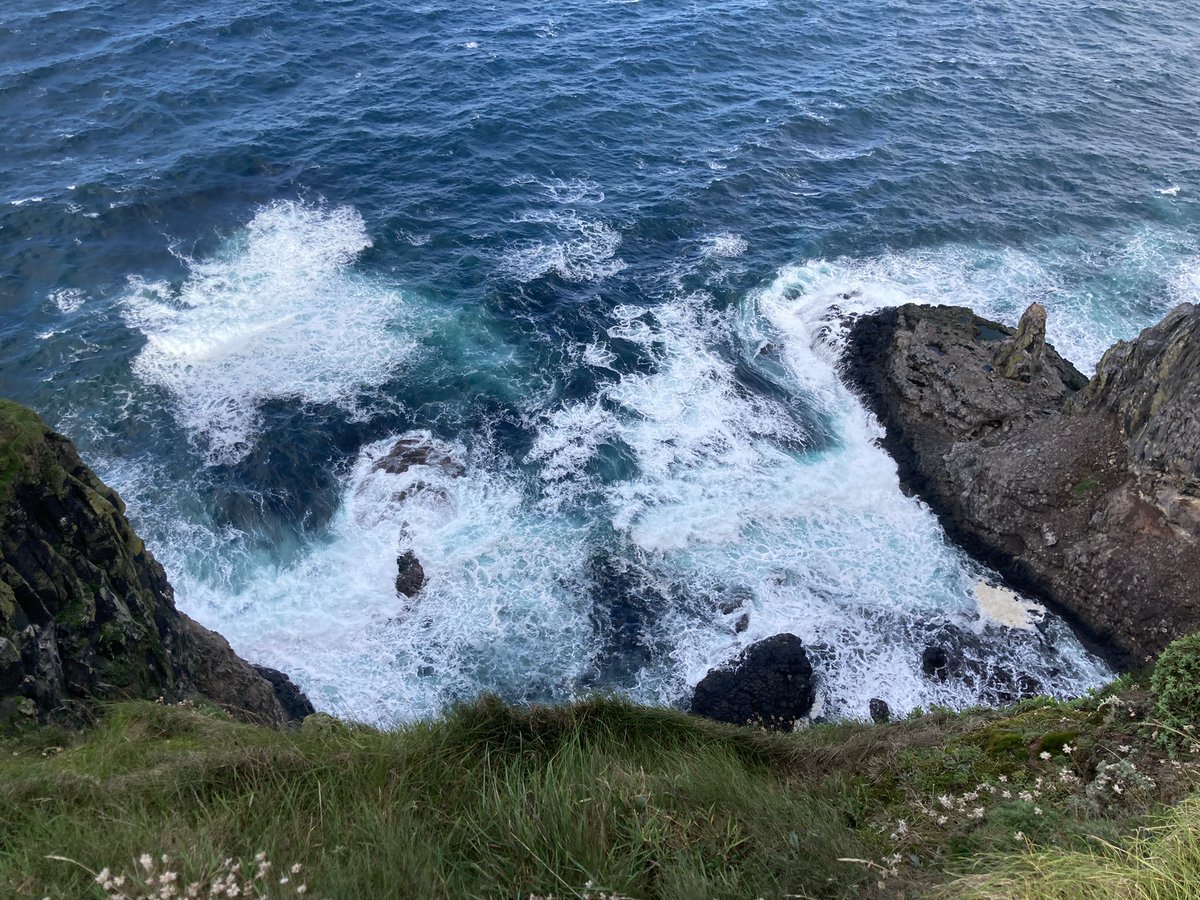 EarthMamasCom's tweet photo. Rathlin. 💚#wild #properwild #welcomeinthewild #ireland #goodforthesoul https://t.co/SmnkI6erCx