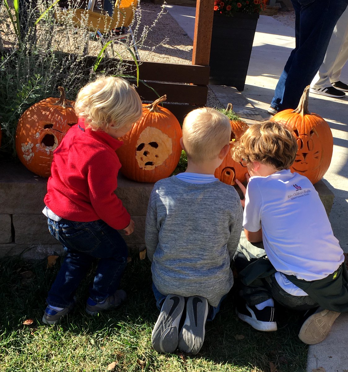 Mark your calendar - the Quad Cities is set for the Not So Scary Halloween Walk at the Quad City Botanical Center @ 2525 4th Ave. in Rock Island, IL. Dates are October 15, 21, 22, 28, 29 from 6:30-8:30 p.m.! See - qcgardens.com. Happy Fall!
