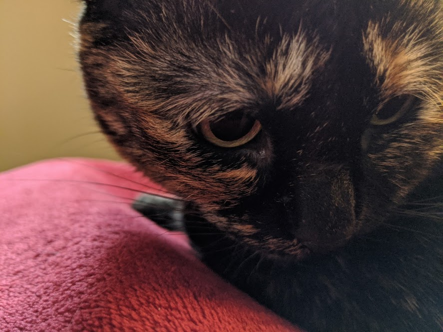 Helen Huntingdon tweet media