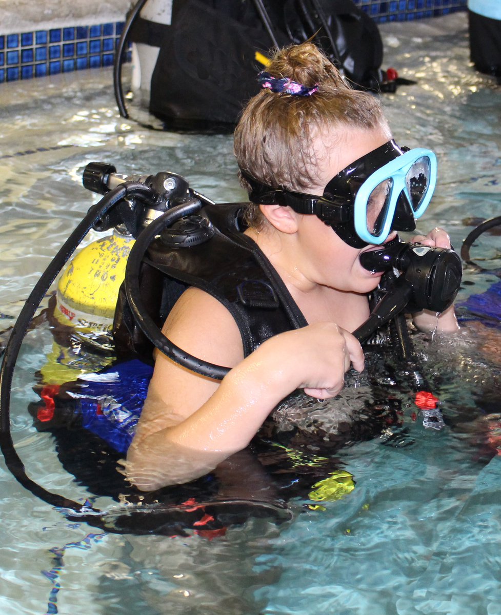 Indigo Industries tweet media