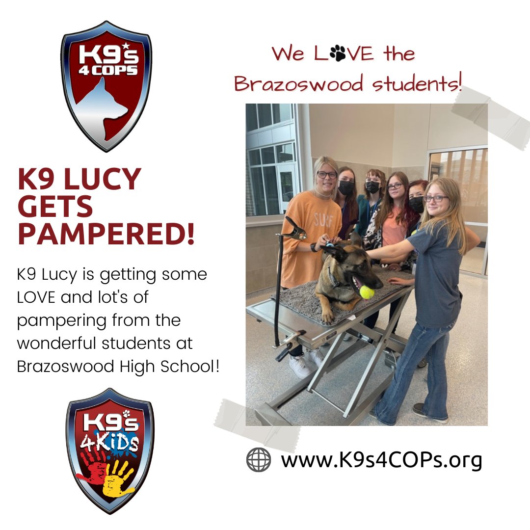 K9s4COPs's tweet image. K9 Lucy is certainly enjoying an impromptu "Spa Day" thanks to our friends over at Brazoswood High School! 

#Presh #K9s4COPs #K9s4KIDs #WorkingDog #BridgeTheGap #TexasPoliceK9 #SRO