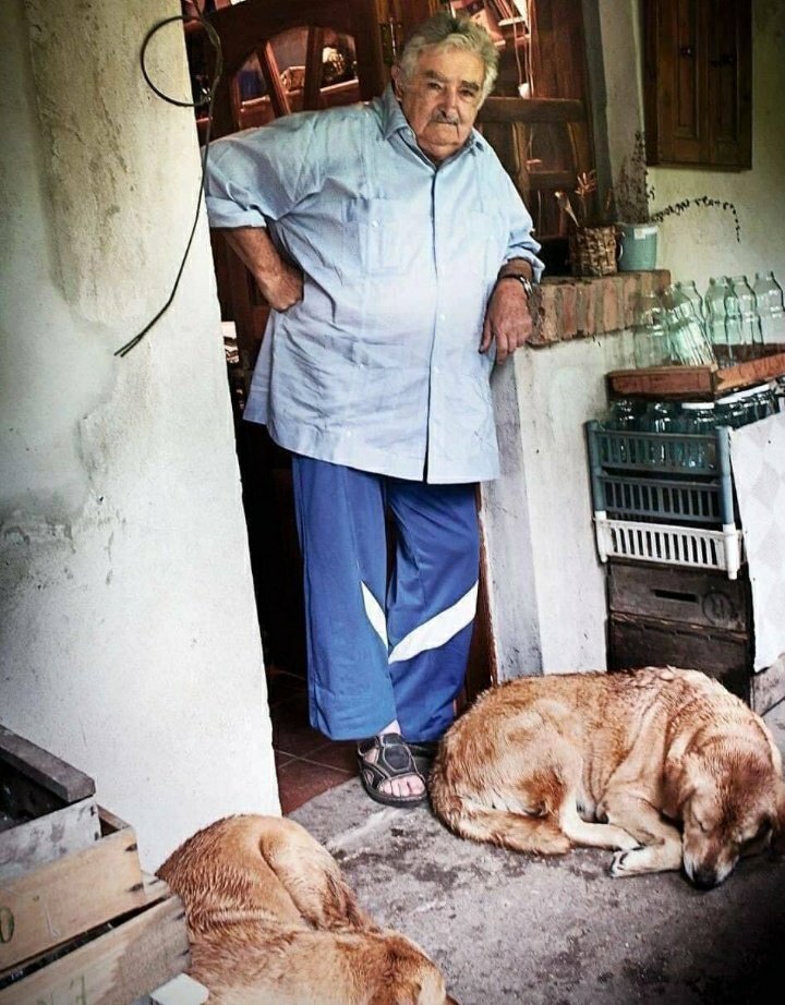 Panameño alguna vez viste salir a un político del gobierno así de limpio y humilde.
Expresidente Pepe Mujica.