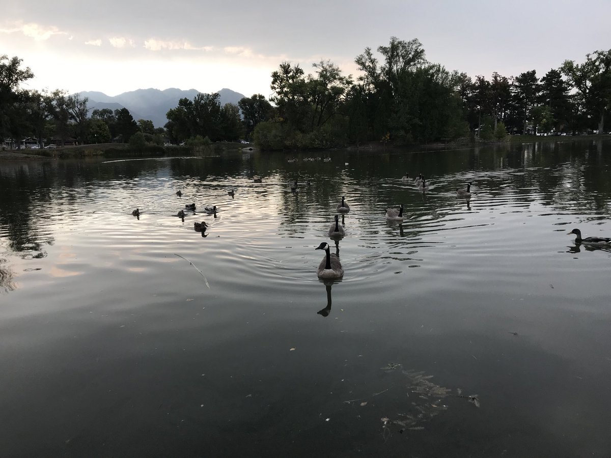 pam_psmith's tweet photo. Our G6 citizen scientists making observations and gathering data on water testing at Liberty Park. #RowlandHallMS @ctlarsen26 @RowlandHall https://t.co/OXqBlc2Esq