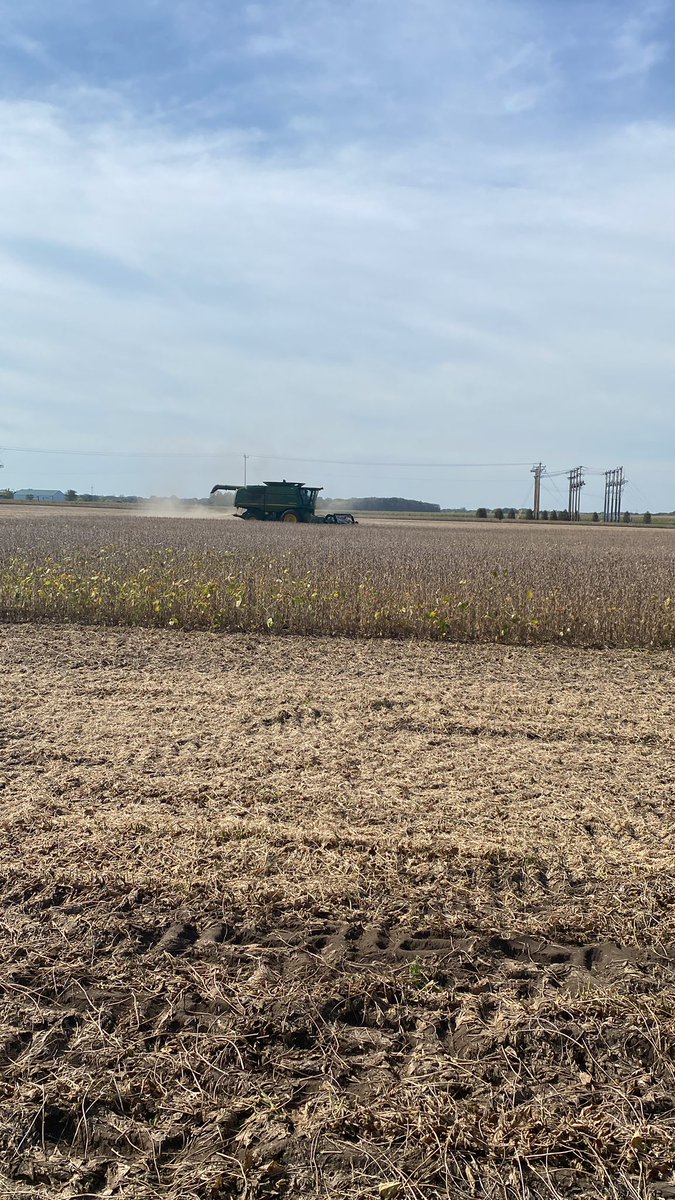 1st of many plots coming off in East Central MN! #nutrien #dynagro #asgrow #nkseed #harvest21 <a href="/AOeding/">Andy Oeding</a> <a href="/bradleybischof/">Brad Bischof</a> <a href="/Sabrina_Leuer/">Sabrina Leuer</a> <a href="/reinking_robert/">Robert Reinking</a>