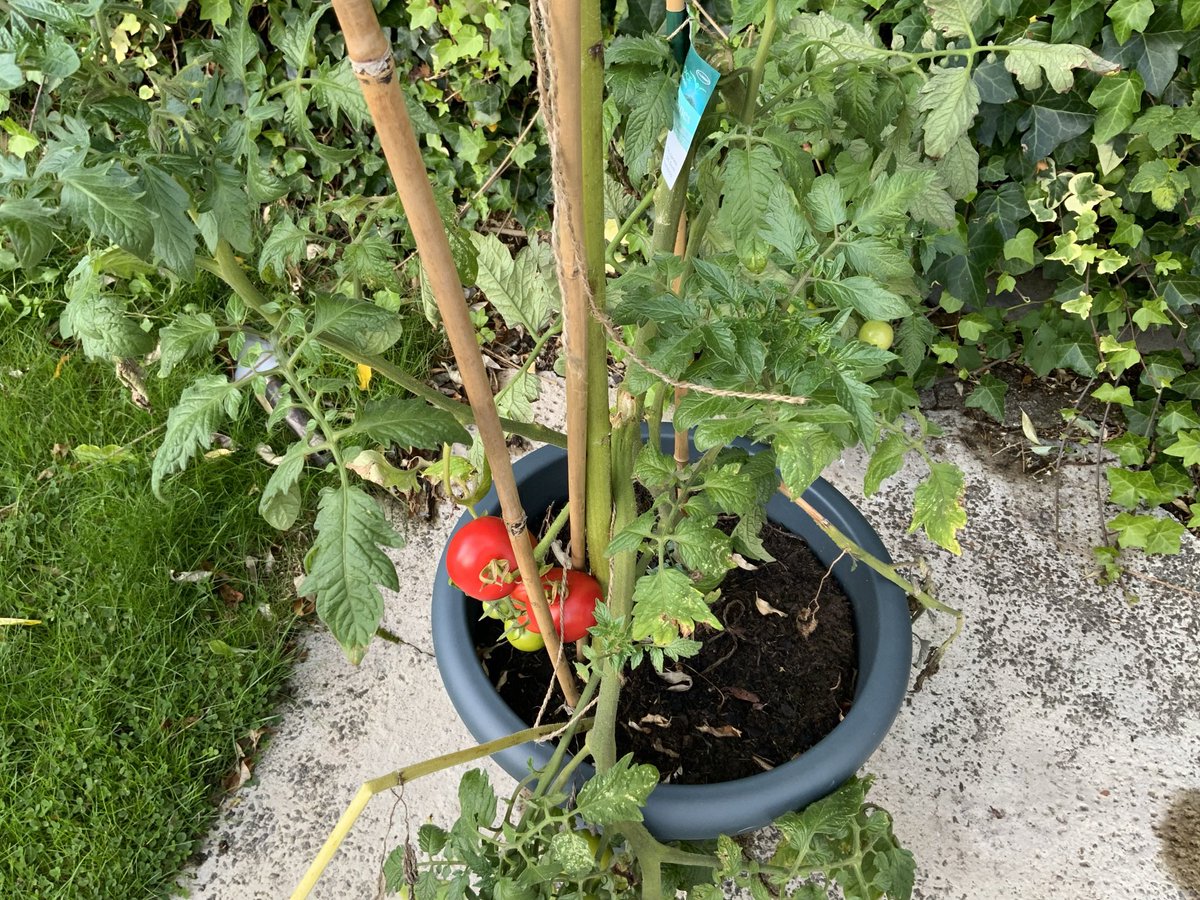 JanCraig3's tweet photo. @giffnockprimary #GPSMathsWeek https://t.co/jbjNoOqGGq