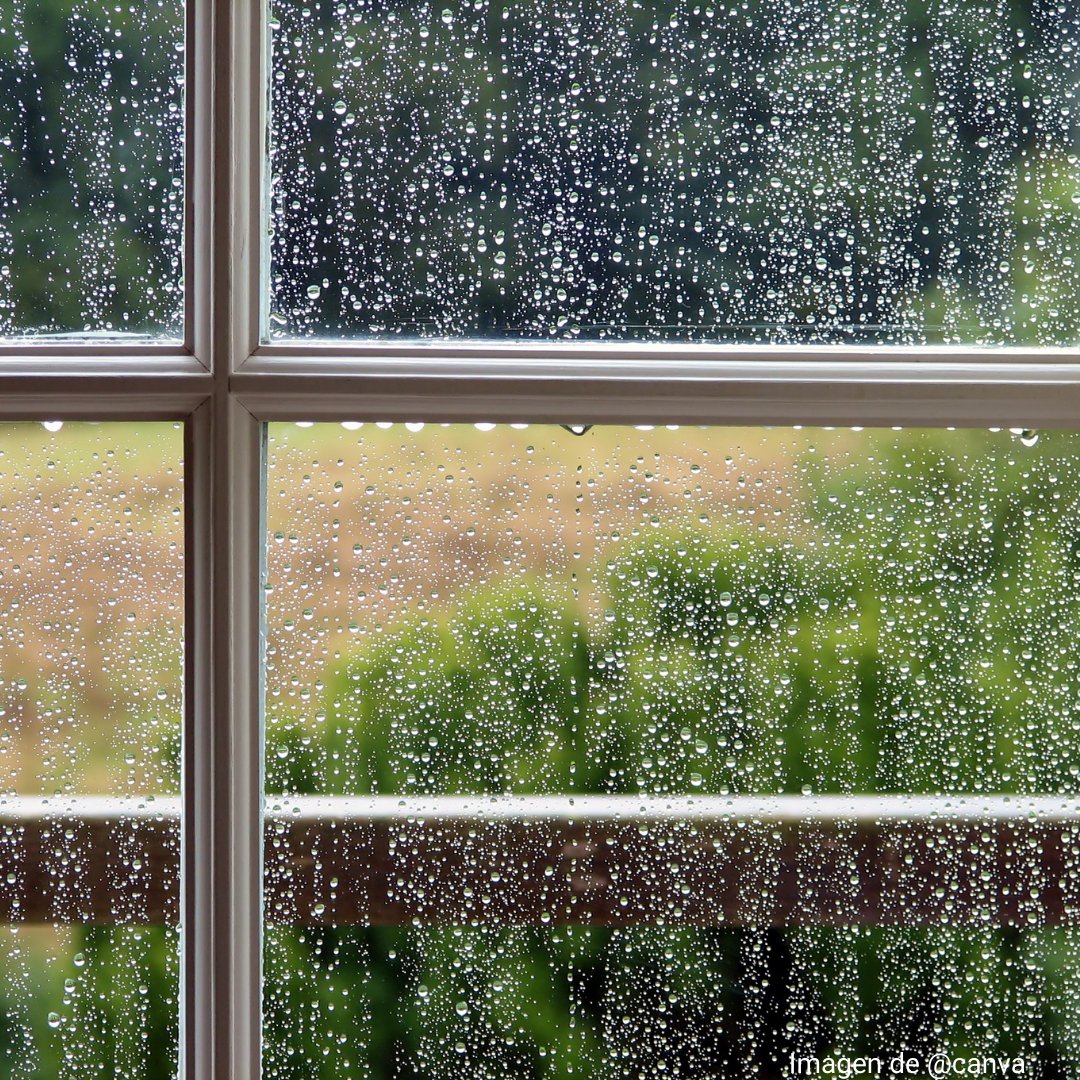 Se ahogan
los recuerdos 
anclados al cristal
del pasado,
danzando
con el adiós
tras las ventanas
de otoño.

Llueve,
adentro y fuera
de casa 
llueve...
mojando
un café 
de arcadas
que entre lágrimas
se endulza
con lo olvidado.

Llueve,
pero ya 
no llovemos juntos
tú y yo.

#poesía