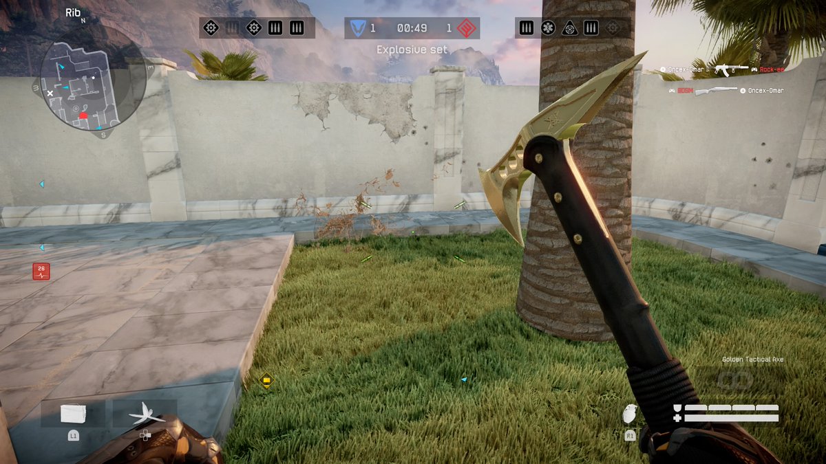 Gardener forgot to take the dead grass <a href="/warface/">.</a>