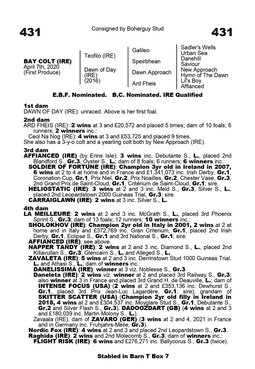 DarleyEurope's tweet photo. Richard Ryan goes to €200,000 for Lot 431 from @BoherguyStud @Goffs1866 - a #Teofilo colt out of the #DawnApproach mare Dawn Of Day, from the Champion family of Soldier Of Fortune, Sholokhov and Skitter Scatter 👇 https://t.co/1ffNujURhx