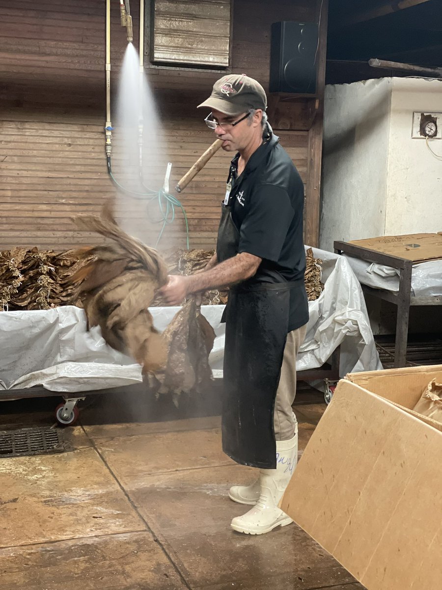 Terriedc1's tweet photo. Arts &amp; Culture Day with @TB_Chamber  #LeadershipTampa22 Our community is so rich in history, culture, and culinary.🤩 #tampaisgreat @TampaBayHistory  @JCNewmanCigars @Columbia1905 https://t.co/0Q2K0nLpFE